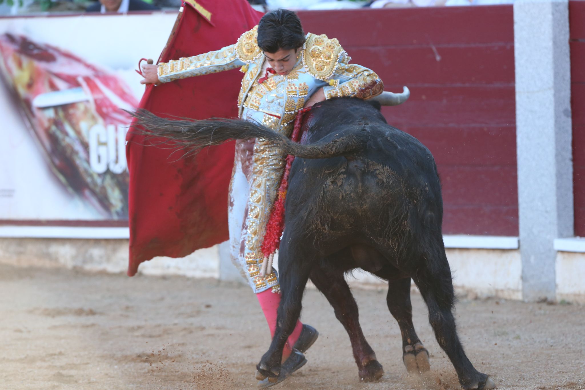 Puerta grande para Marco Pérez en una ilusionante tarde en Guijuelo