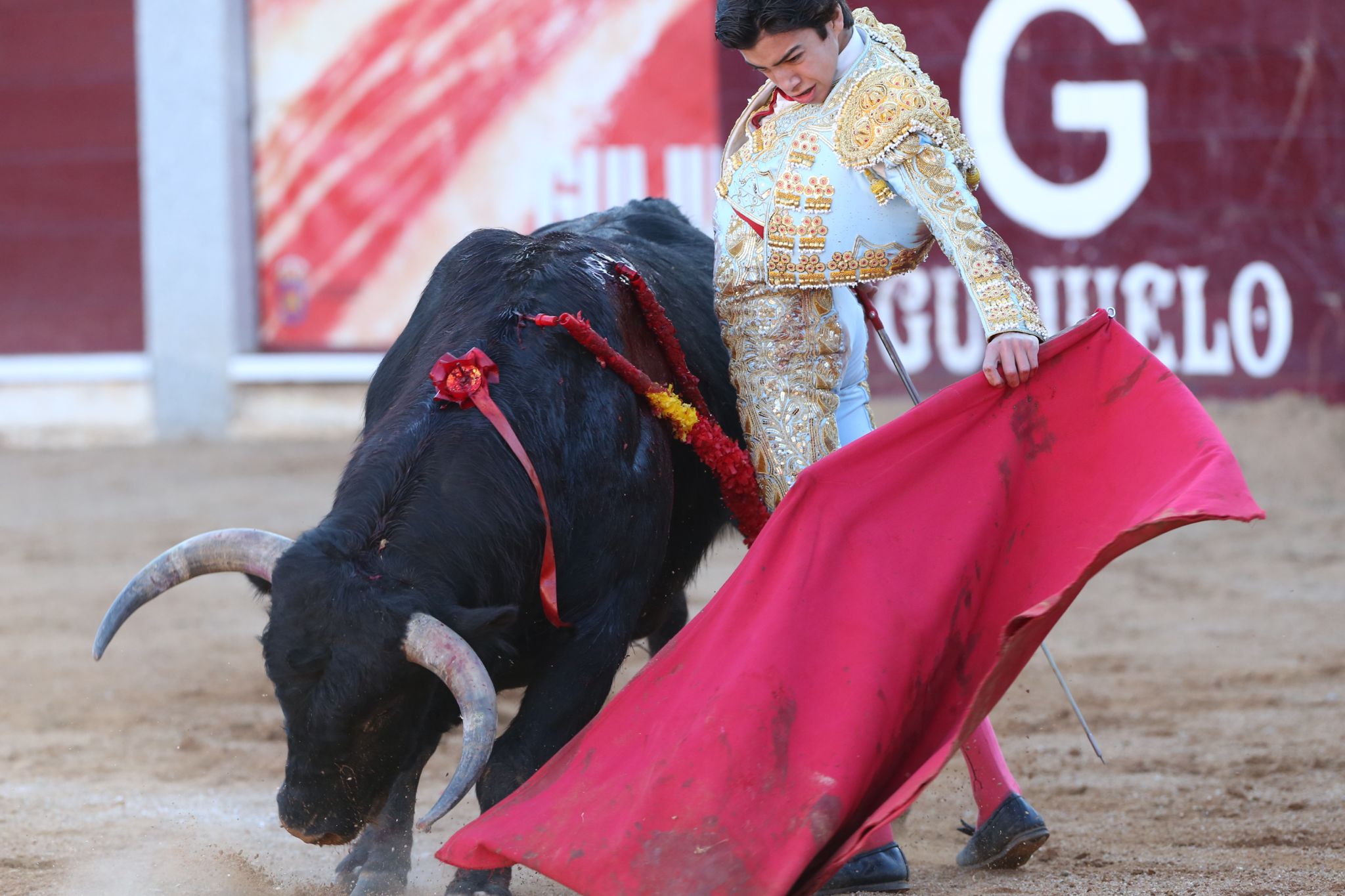 Puerta grande para Marco Pérez en una ilusionante tarde en Guijuelo
