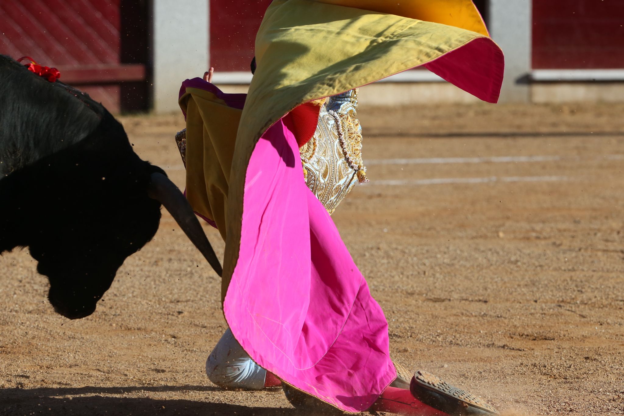 Puerta grande para Marco Pérez en una ilusionante tarde en Guijuelo