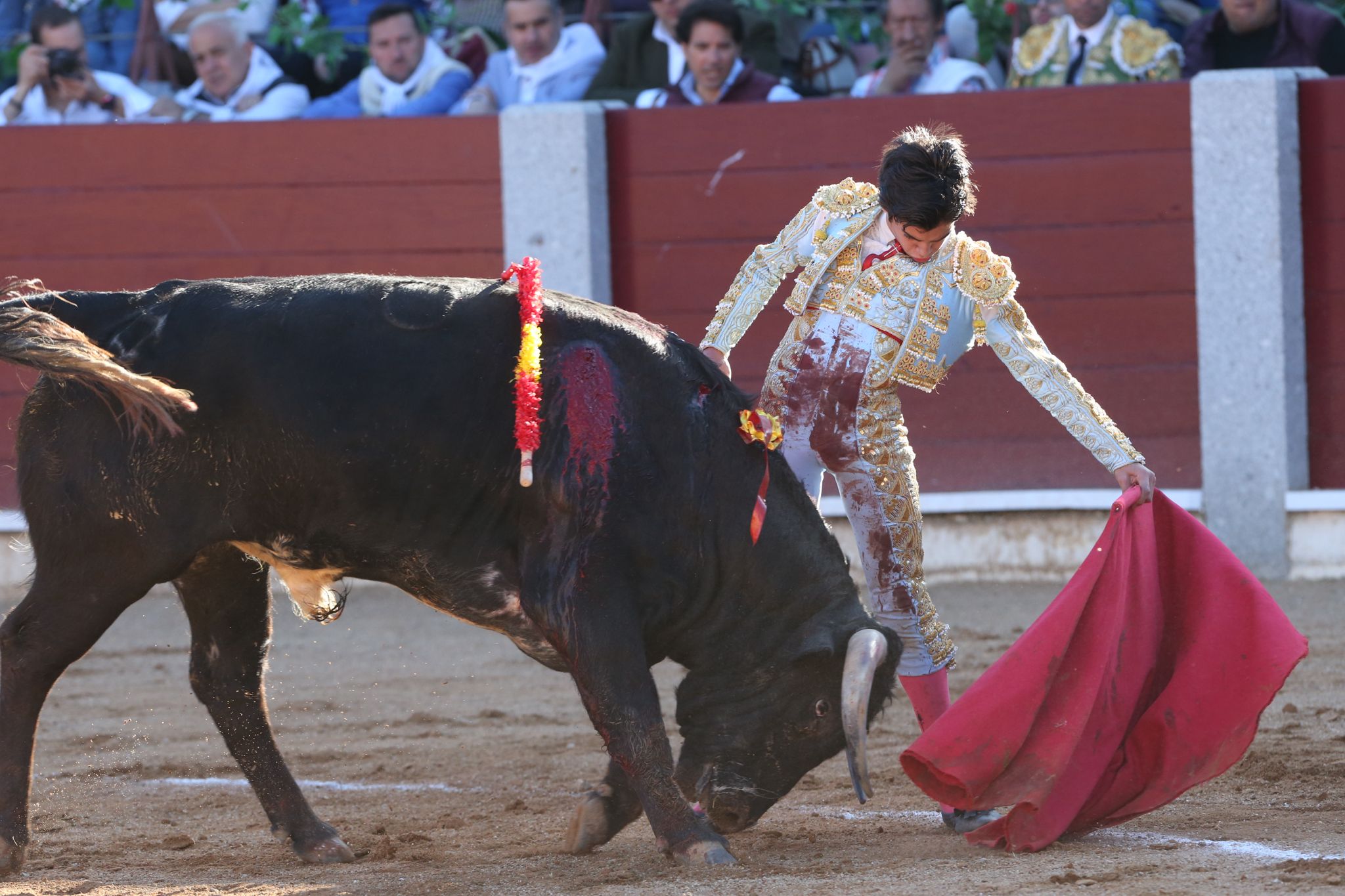Puerta grande para Marco Pérez en una ilusionante tarde en Guijuelo