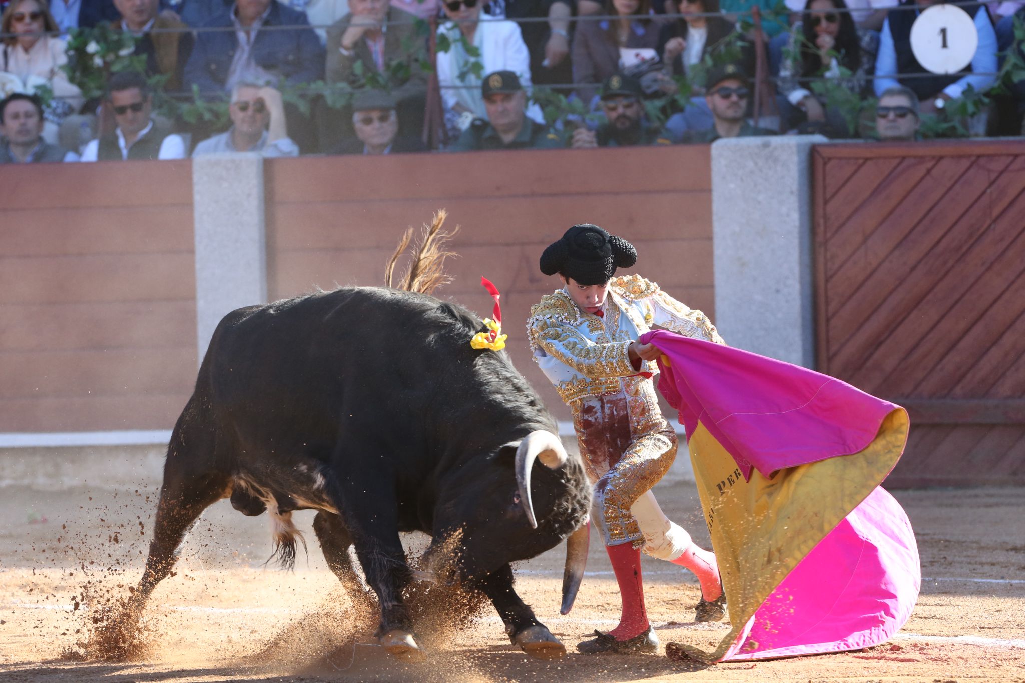 Puerta grande para Marco Pérez en una ilusionante tarde en Guijuelo