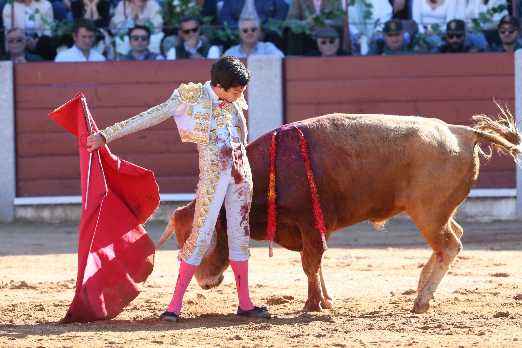 Puerta grande para Marco Pérez en una ilusionante tarde en Guijuelo