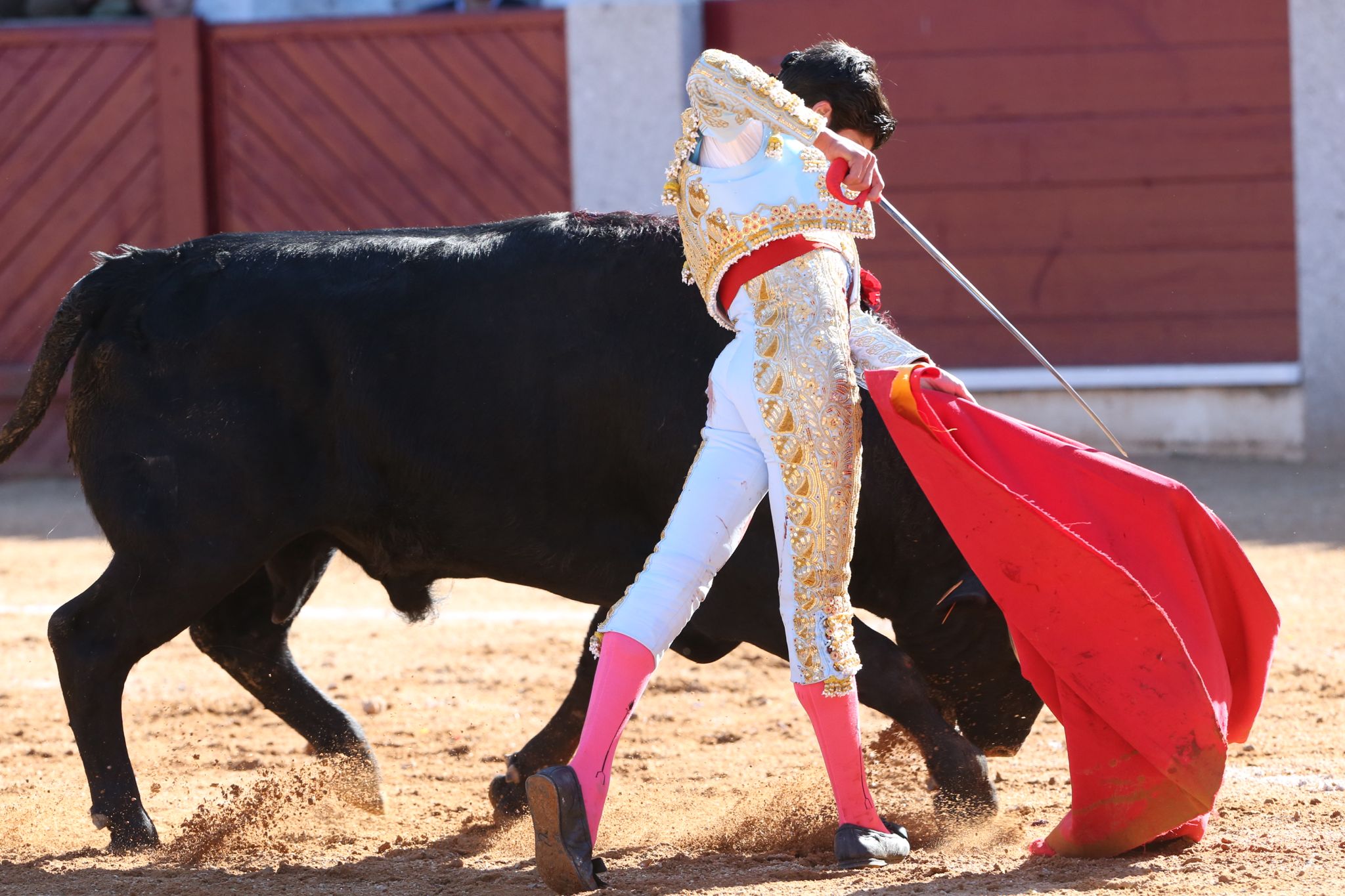 Puerta grande para Marco Pérez en una ilusionante tarde en Guijuelo