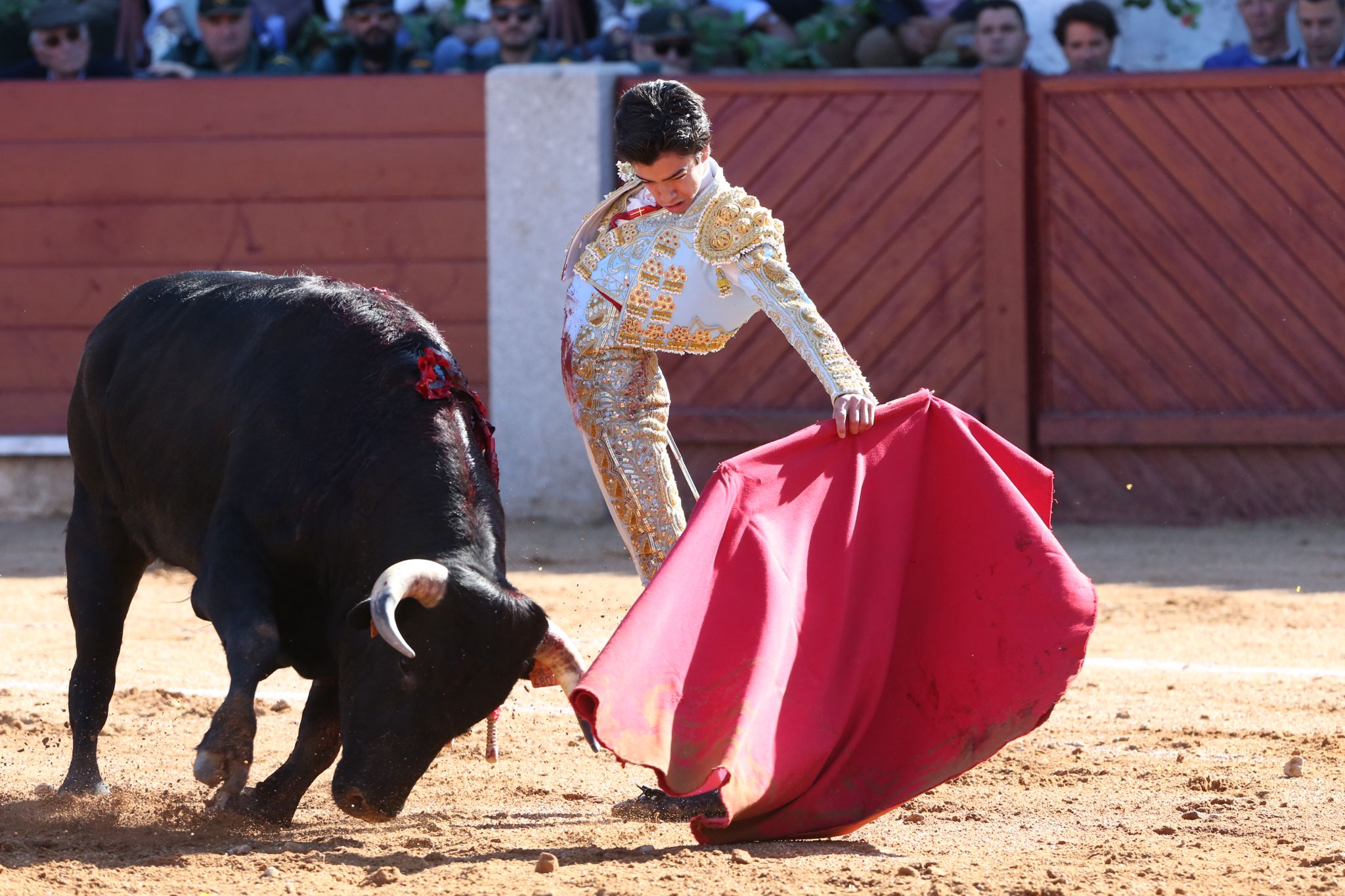 Puerta grande para Marco Pérez en una ilusionante tarde en Guijuelo