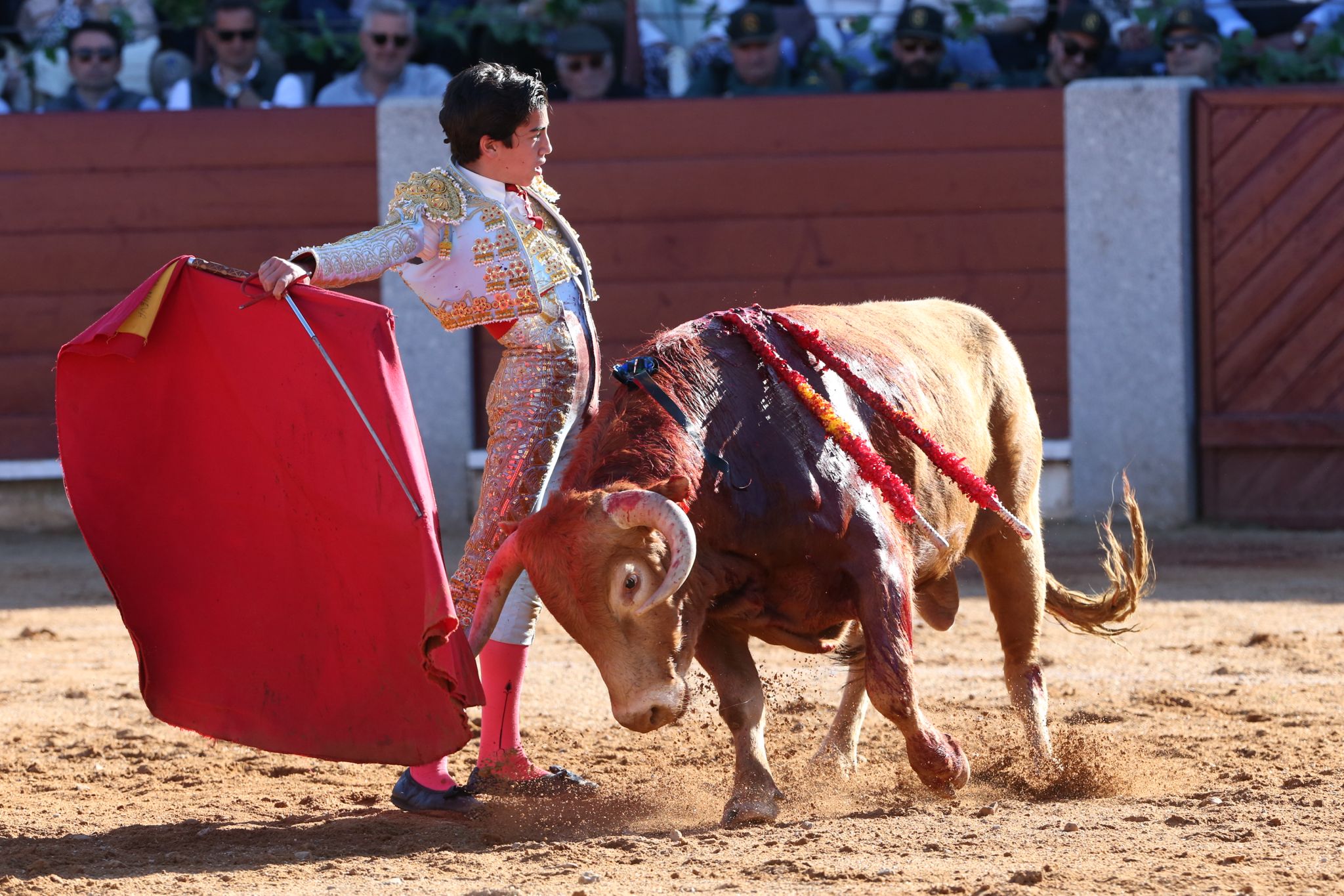 Puerta grande para Marco Pérez en una ilusionante tarde en Guijuelo