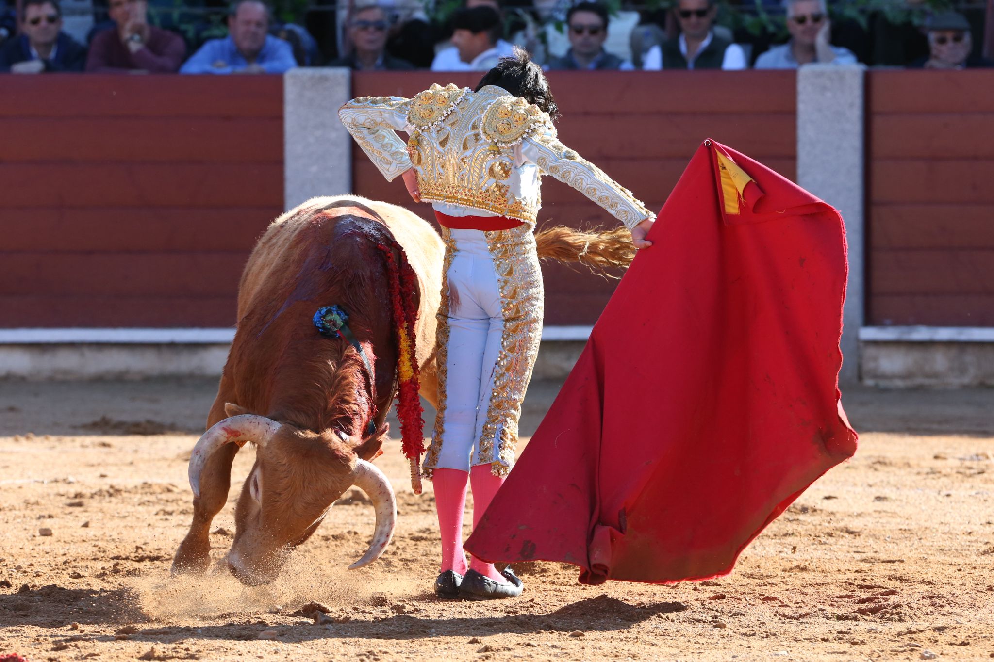 Puerta grande para Marco Pérez en una ilusionante tarde en Guijuelo