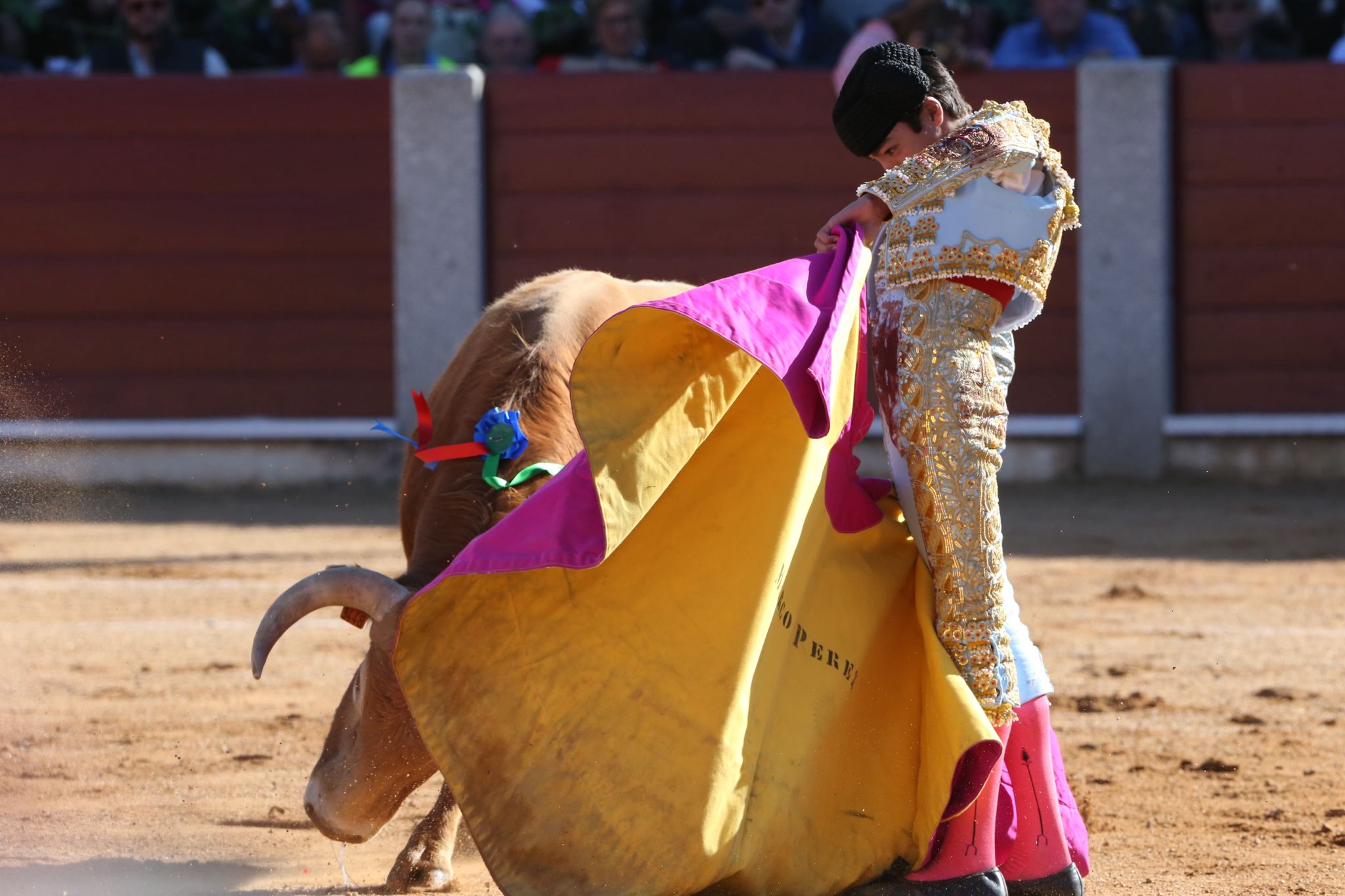 Puerta grande para Marco Pérez en una ilusionante tarde en Guijuelo