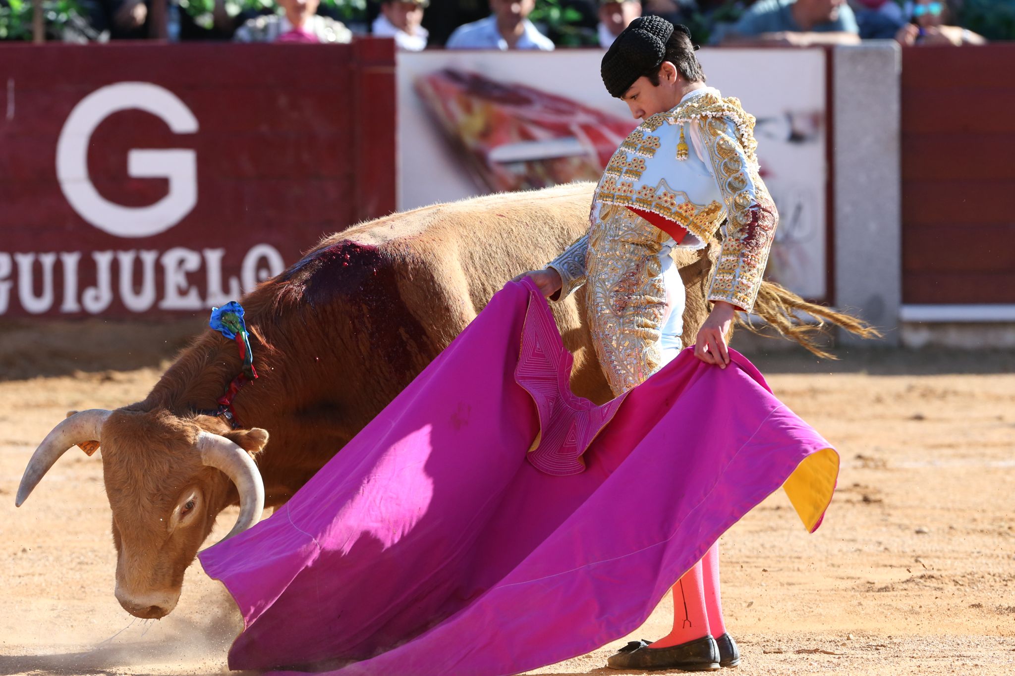 Puerta grande para Marco Pérez en una ilusionante tarde en Guijuelo