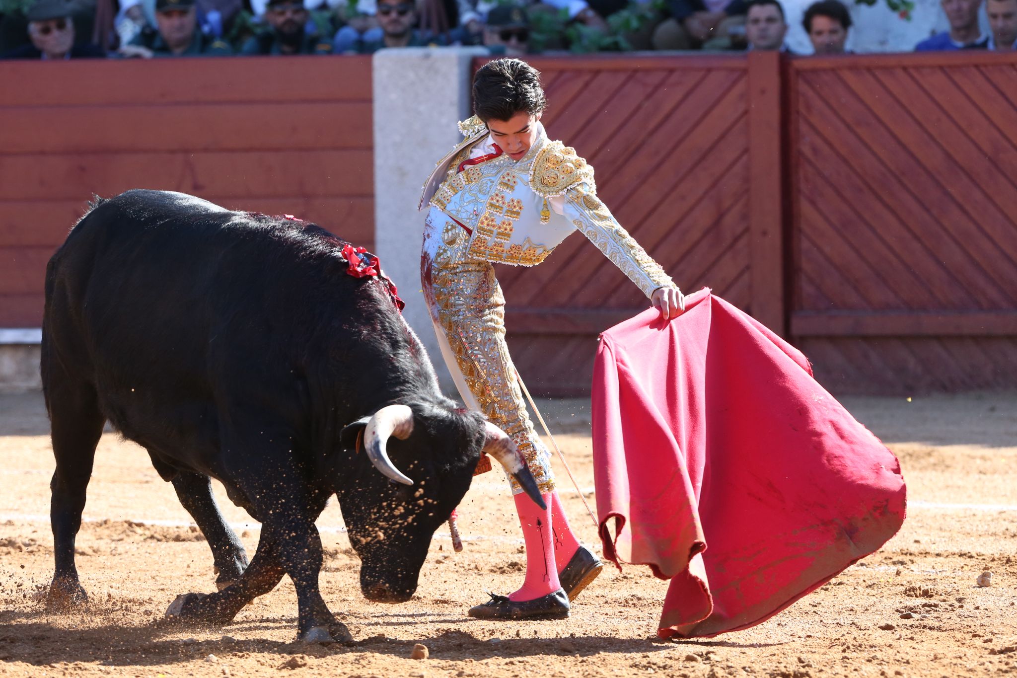 Puerta grande para Marco Pérez en una ilusionante tarde en Guijuelo