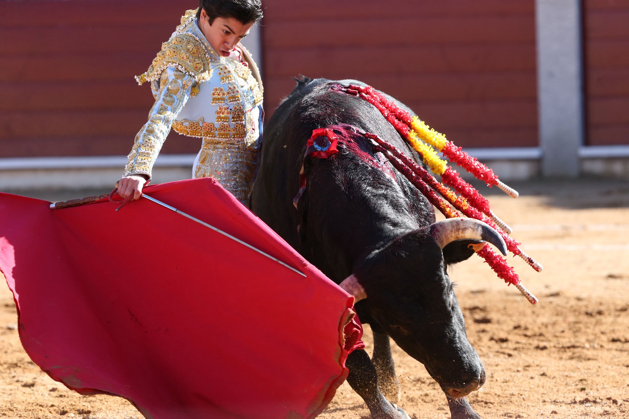 Puerta grande para Marco Pérez en una ilusionante tarde en Guijuelo