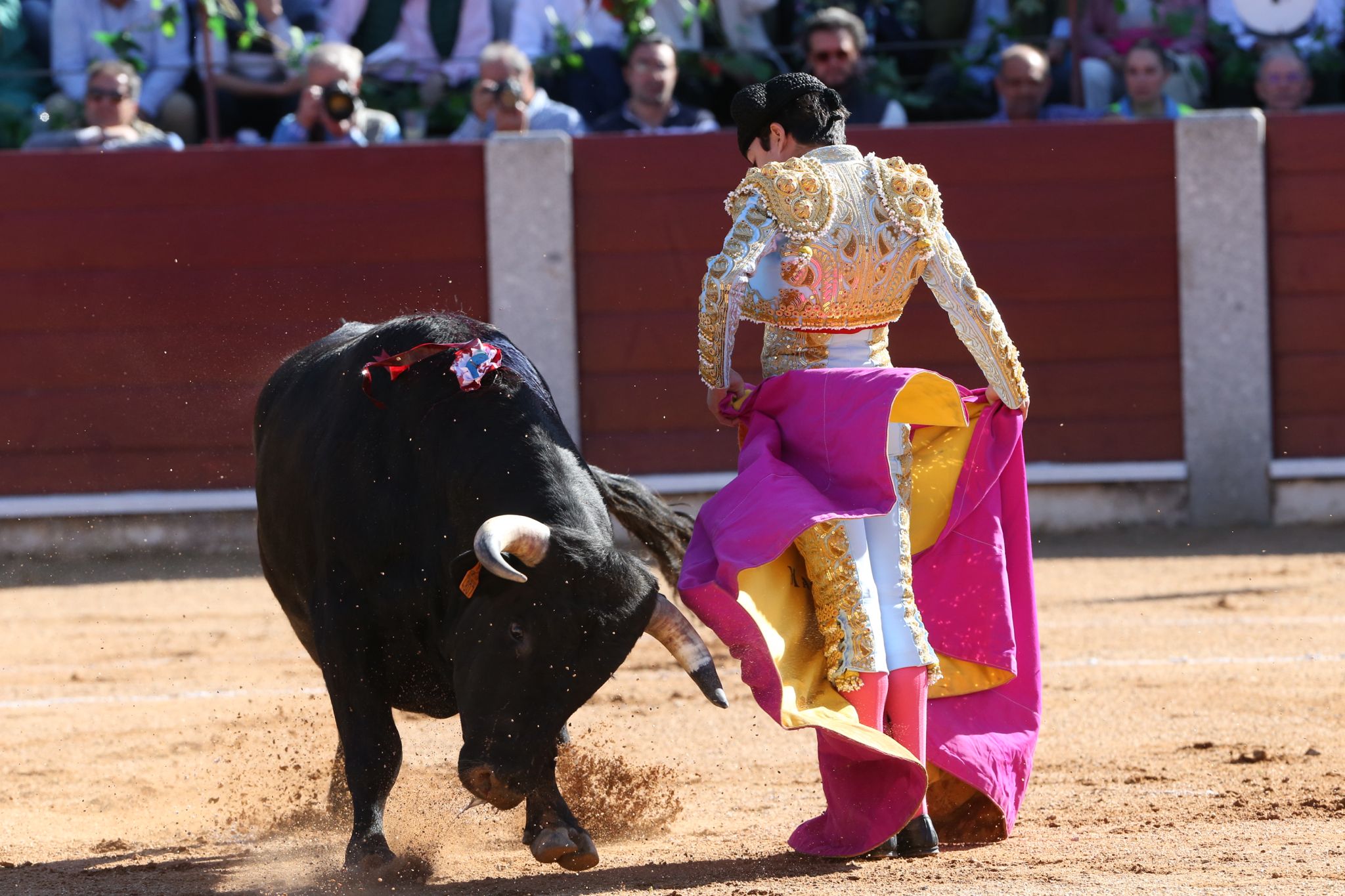 Puerta grande para Marco Pérez en una ilusionante tarde en Guijuelo