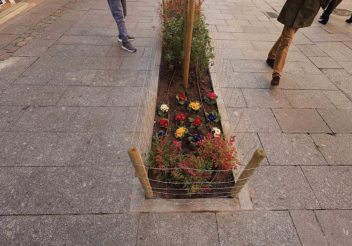 Nuevos actos vandálicos de madrugada contra las jardineras de Salamanca