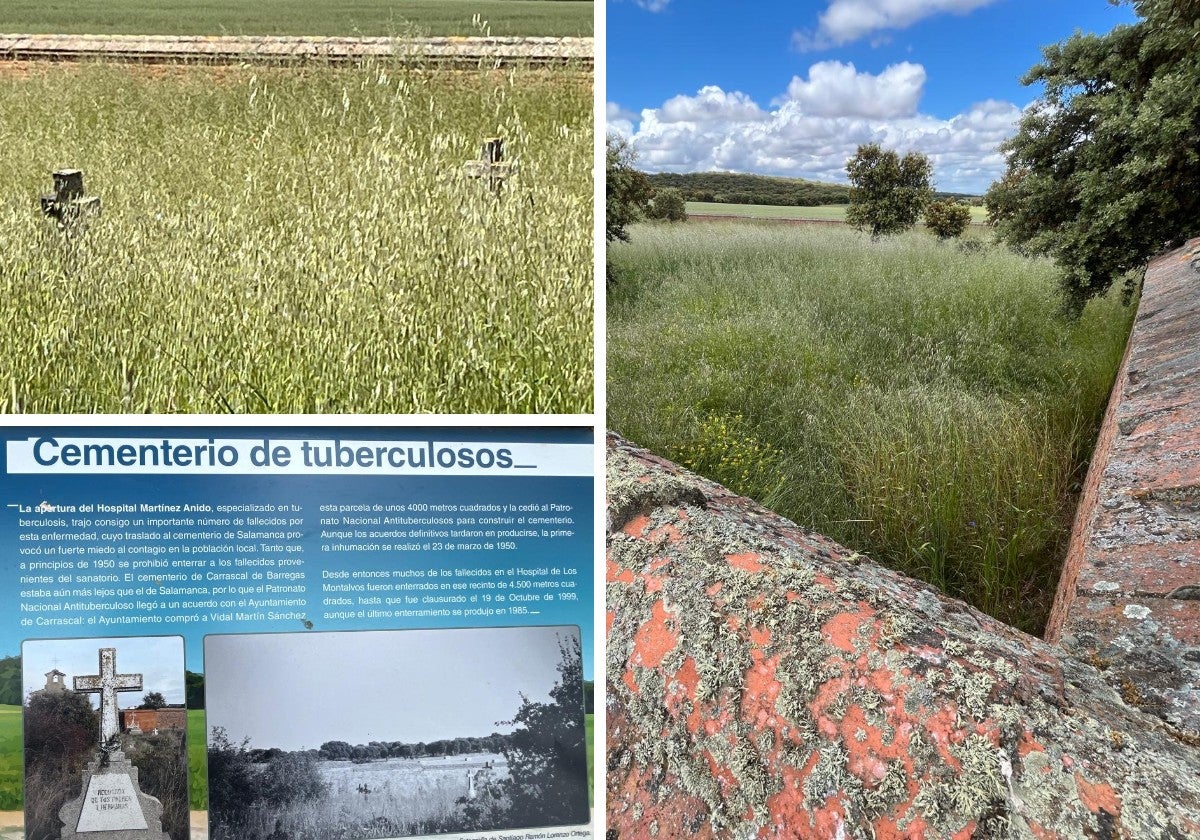 Aspecto interior del cementerio.