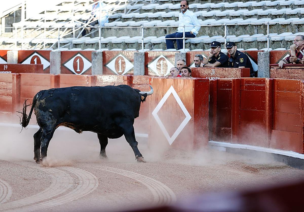 Foto de archivo de la Plaza de Toros de Salamanca