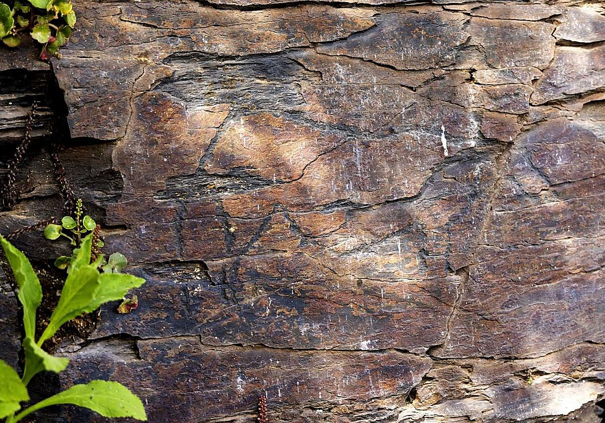 Imagen de una de las representaciones del yacimiento de La Salud.