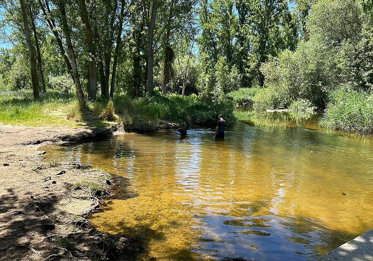 Imagen principal - La zona del club de piragüismo en La Aldehuela o el pantalán junto a Mirat, zonas para disfrutar del agua bajo la prohibición en toda la ribera del Tormes.