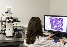 Los 30 proyectos salmantinos de investigación sanitaria que recibirán casi medio millón de euros