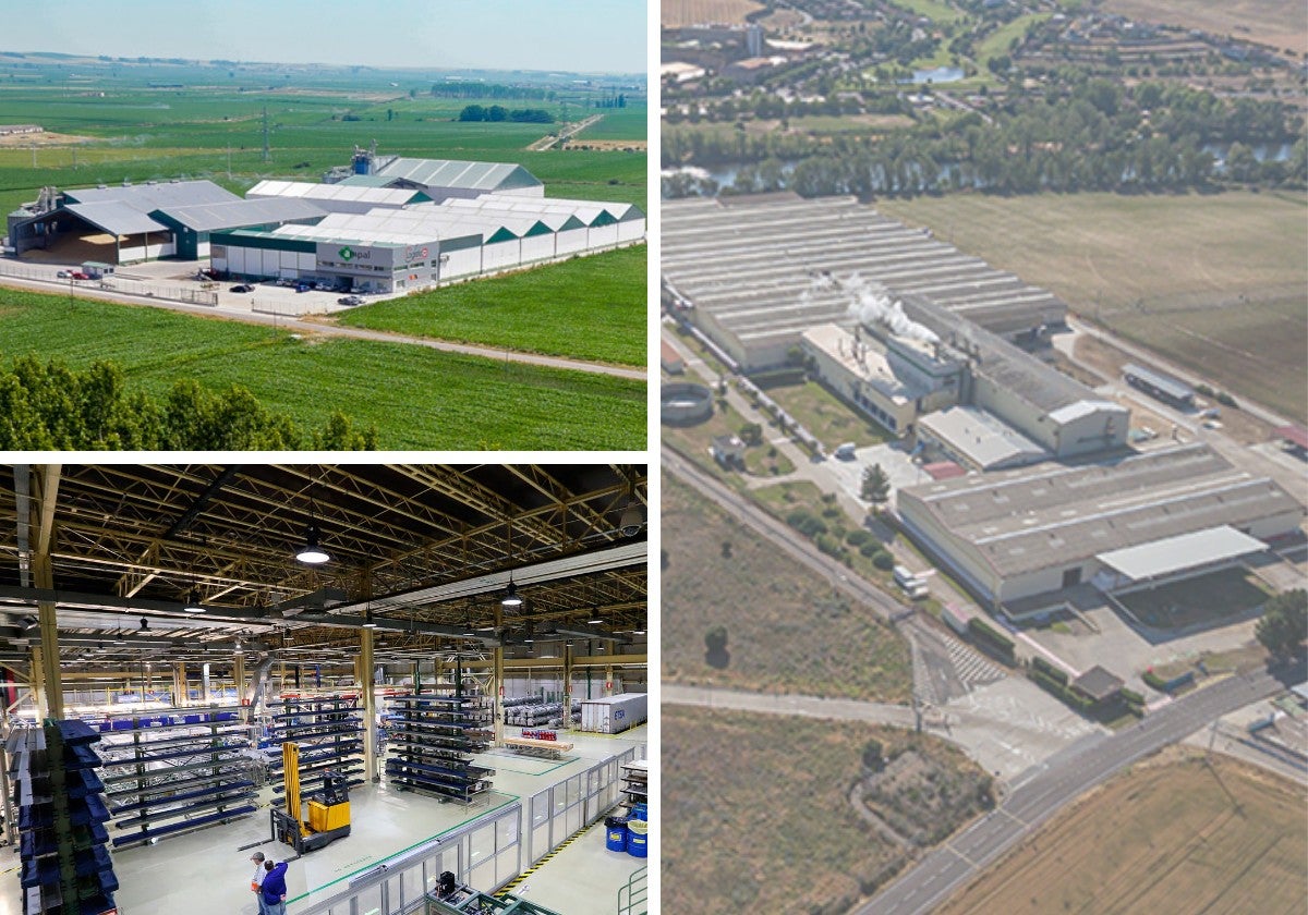 Instalacones de Campal, Enusa y Kimberly-Clark en Salamanca.