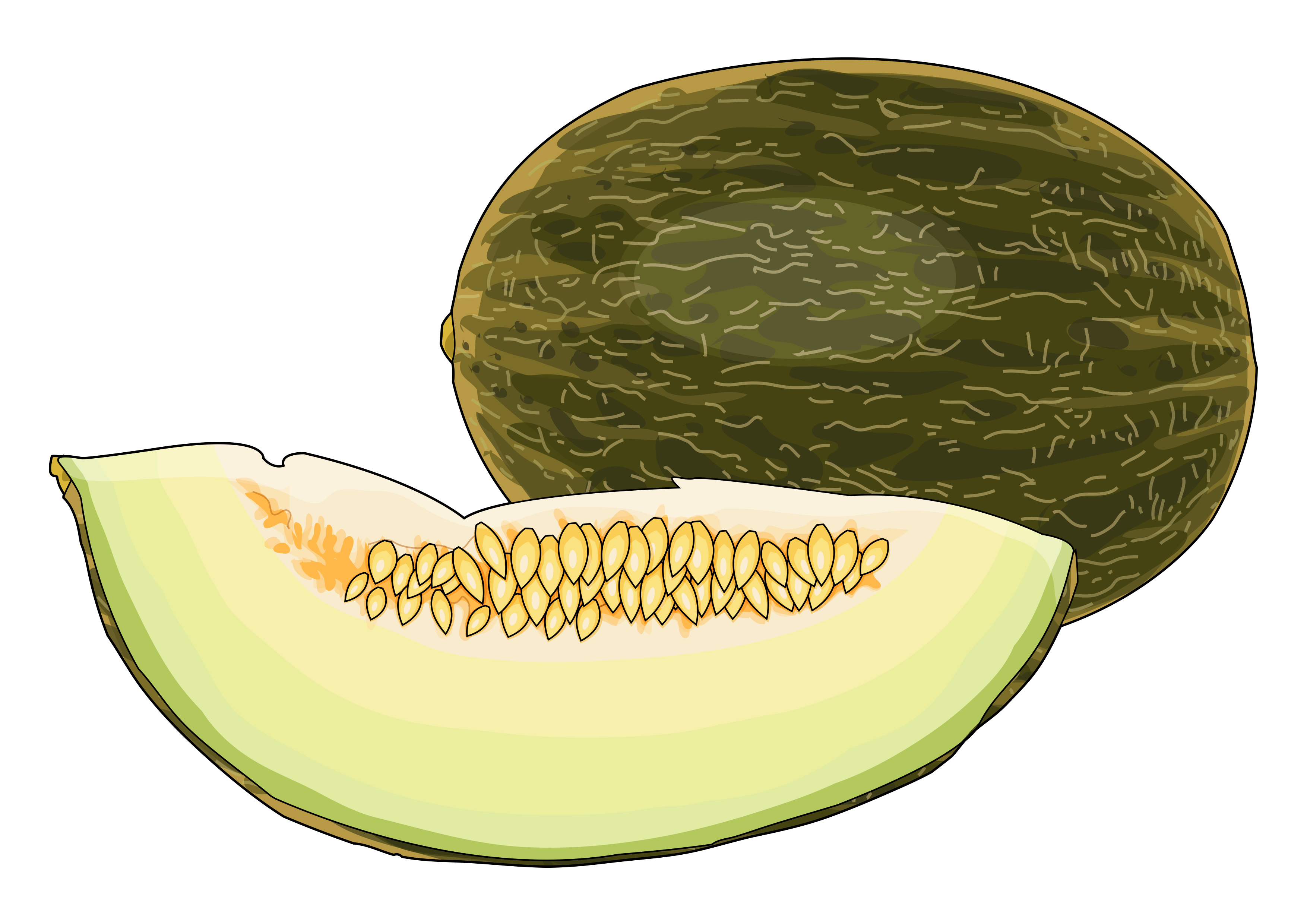 Imagen principal - Melón