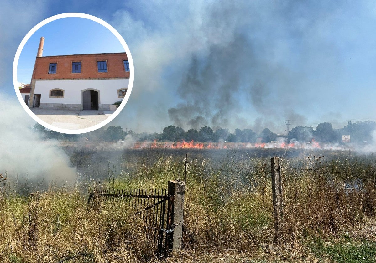 Llamas en la parcela contigua e imagen de la fábrica de colas.