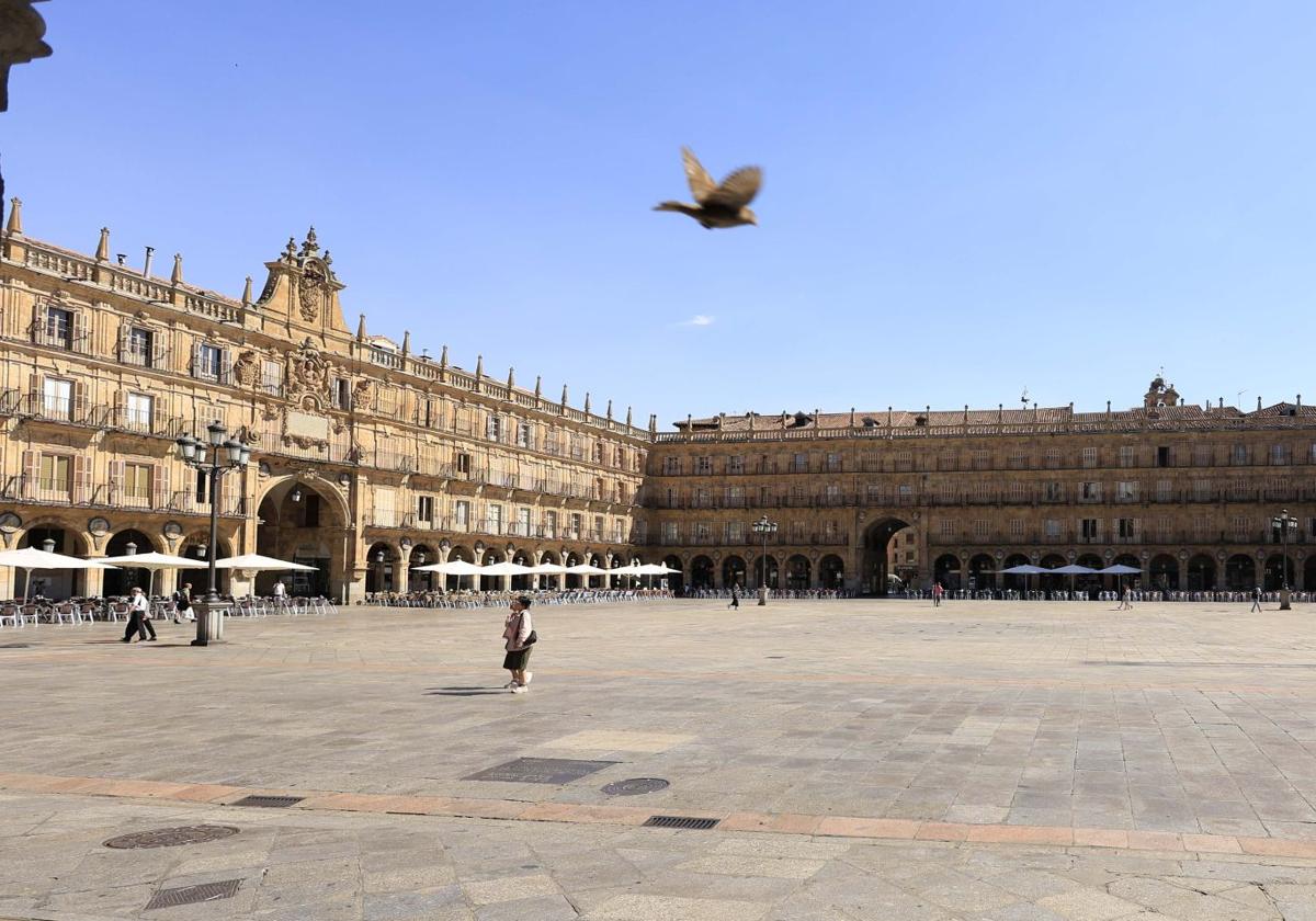 La Plaza Mayor un día de calor en Salamanca.