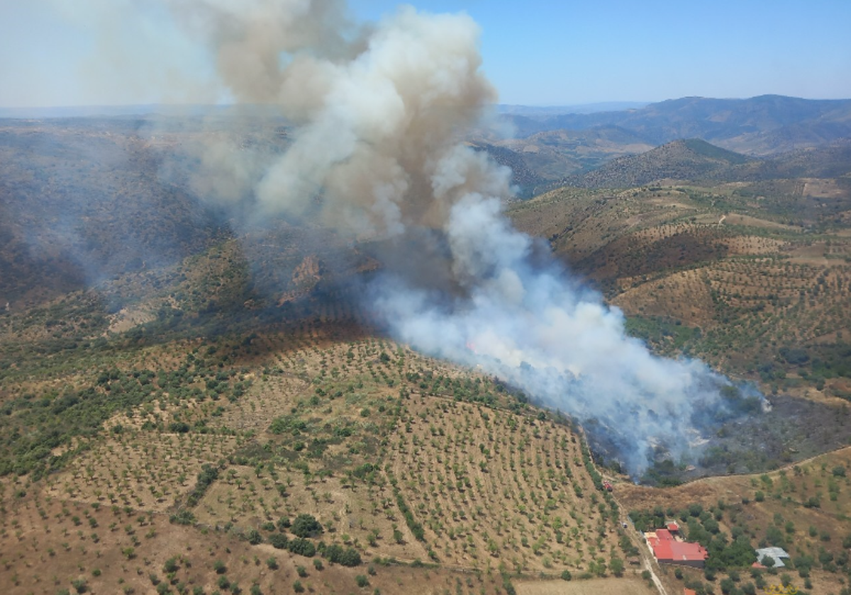 Incendio en La Fregeneda.