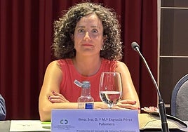 María Engracia Pérez Palomero ayer durante la toma de posesión de su nuevo cargo como presidenta del CONCYL.