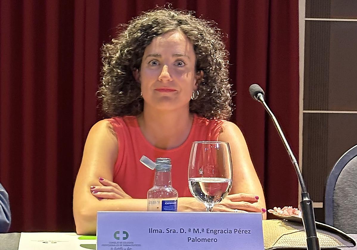 María Engracia Pérez Palomero ayer durante la toma de posesión de su nuevo cargo como presidenta del CONCYL.