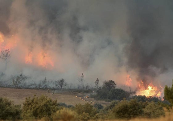 Imagen de un incendio forestal en la región.