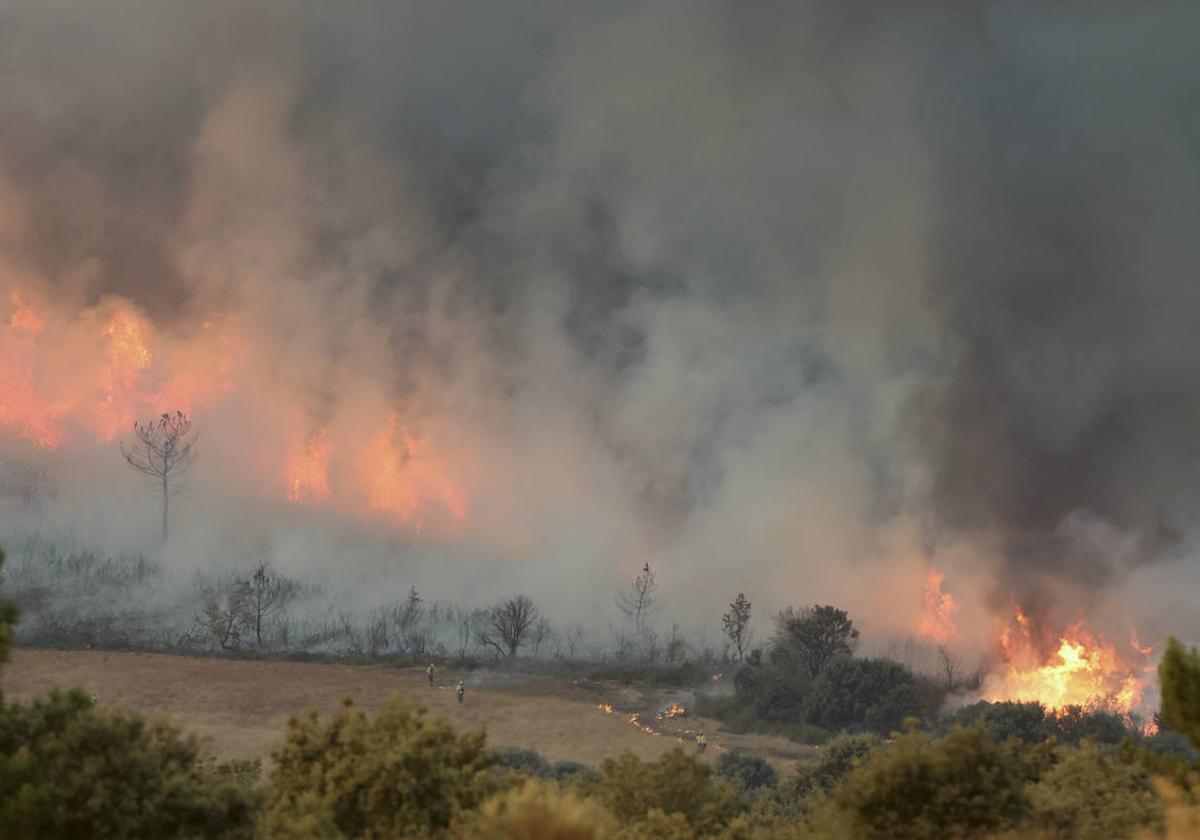 Imagen de un incendio forestal en la región.