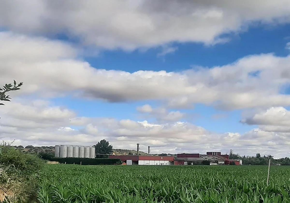 Empresa ubicada en el municipio