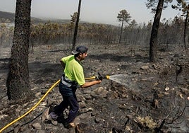 Imagen de archivo de un incendio en Salamanca.