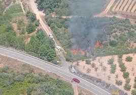 Imagen facilitada por la Junta