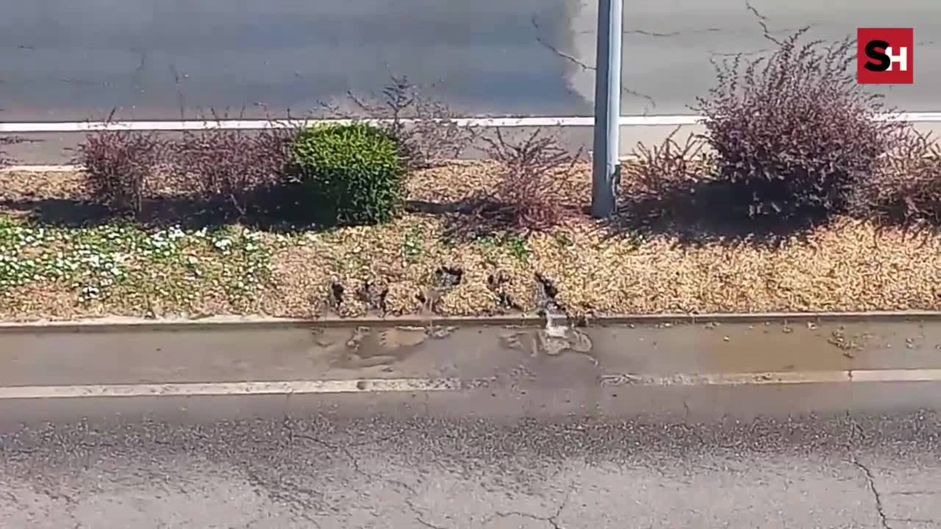 Pequeña fuga de agua de riego en la Vía Helmántica en la entrada a Salamanca