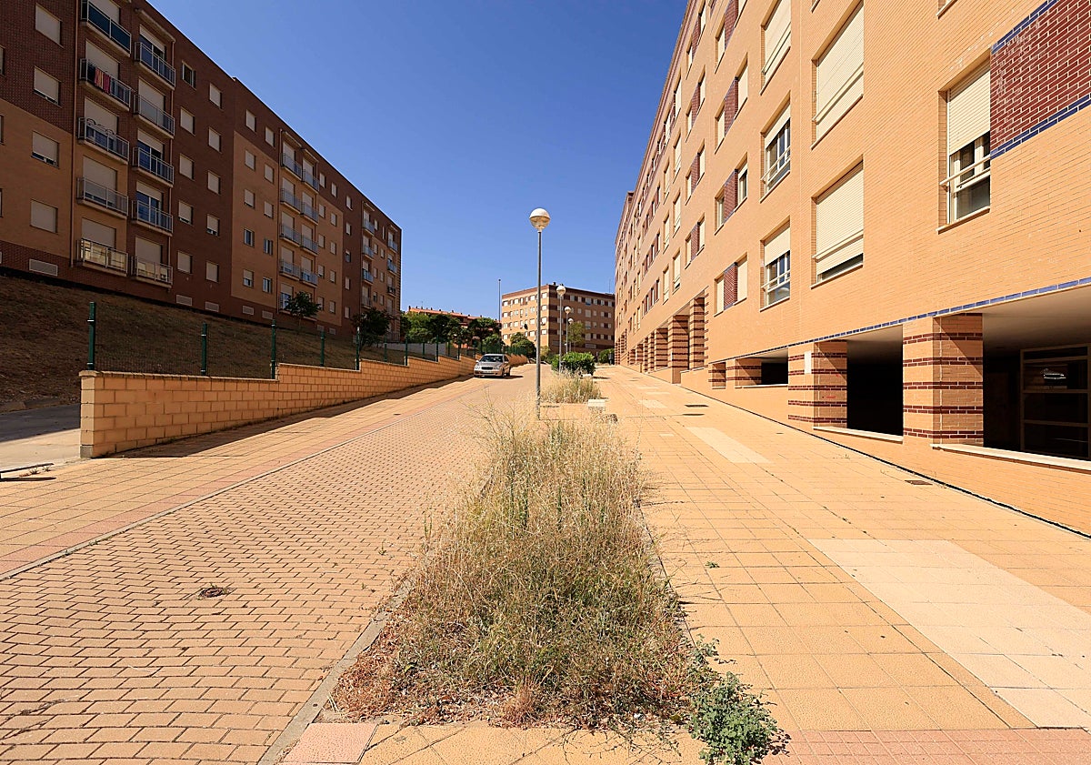 Imagen principal - Parterres abandonados, zonas sin sombras y escaleras sucias son algunos de los problemas del barrio.