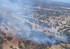 Imagen de la Junta del fuego de Brincones