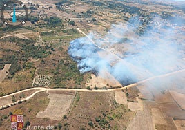 Gran despliegue de medios para luchar contra las llamas en la provincia de Salamanca