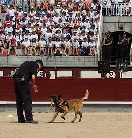 Exhibición de la Unidad de Guías Caninos de la Comisaría General de Seguridad Ciudadana de la Policía Nacional.