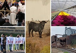 Las noticias imprescindibles de Salamanca