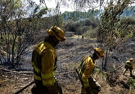Bomberos forestales sobre el terreno en Sanjuanejo.