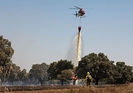 Imagen de archivo de efectivos trabajando en la extinción de un incendio.