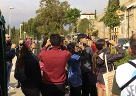 Numeroso público en las actividades del Día de las Aves de SEO-Salamanca