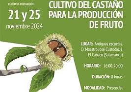 El Cabaco acogerá un curso de formación sobre el cultivo de castaño