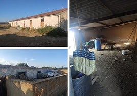 Las instalaciones del cebadero de ganado de Santibáñez de Béjar.