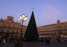 El gran árbol de navidad en medio de la Plaza Mayor.