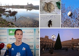 Las noticias imprescindibles de Salamanca este viernes 29 de noviembre