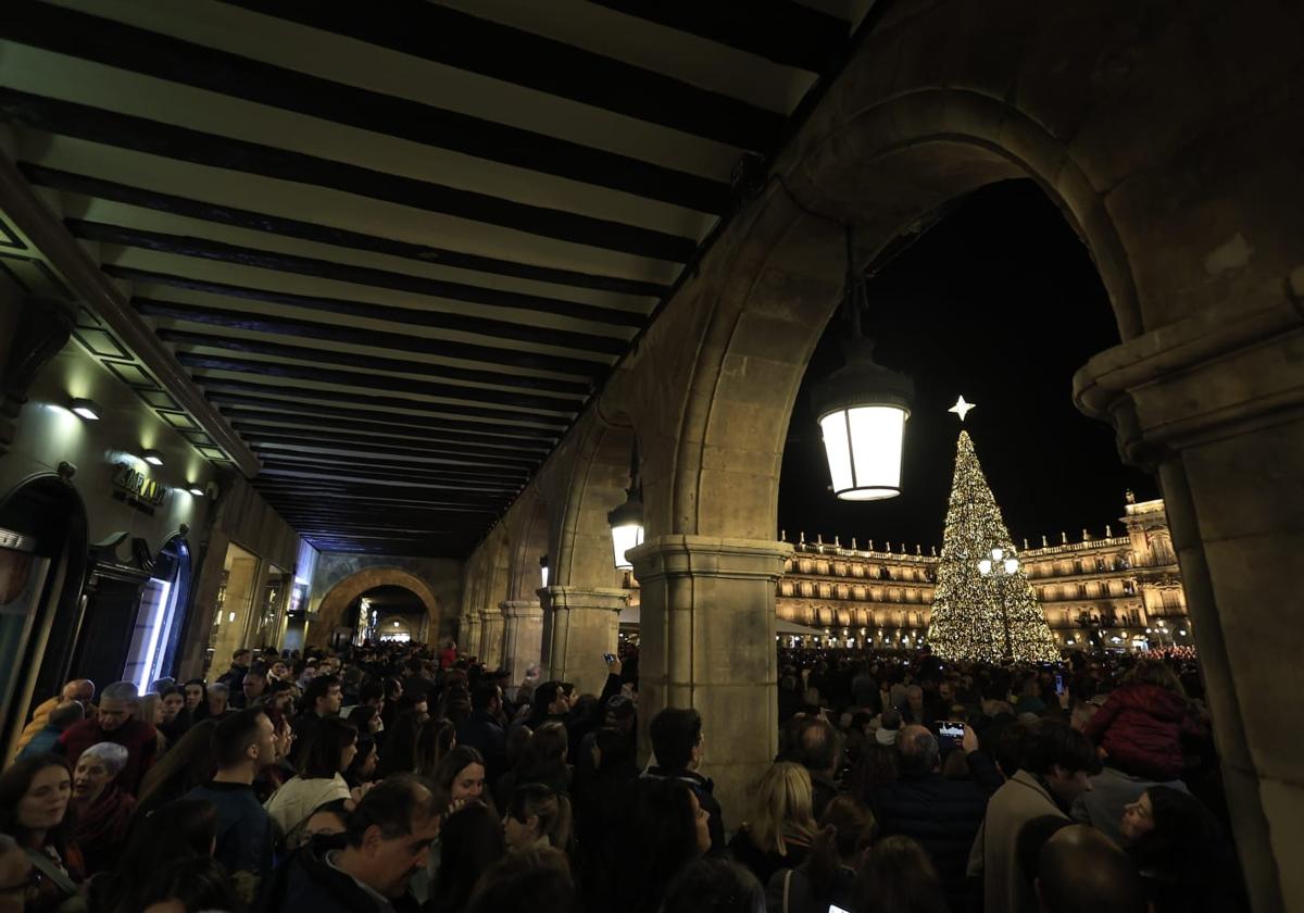 La expectación por el árbol gigante y el espectáculo de luz y sonido desbordan la Plaza Mayor