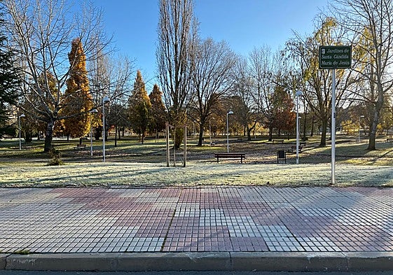 Jardines de Santa Cándida María de Jesús esta mañana, helados en la capital de Salamanca.