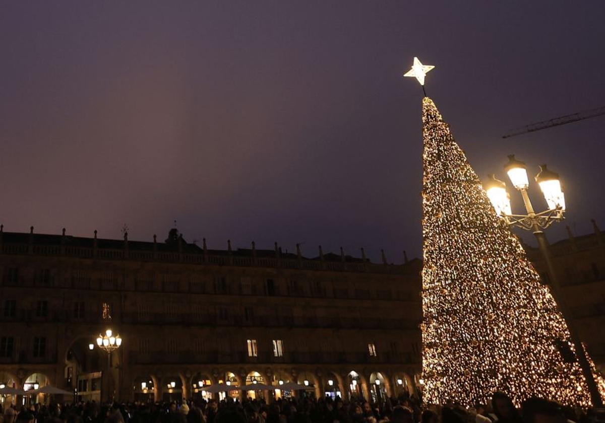 Árbol navideño de la Plaza Mayor de Salamanca.