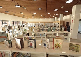 Bibloteca municipal Carmen Martín Gaite.